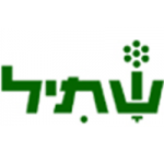 שתיל